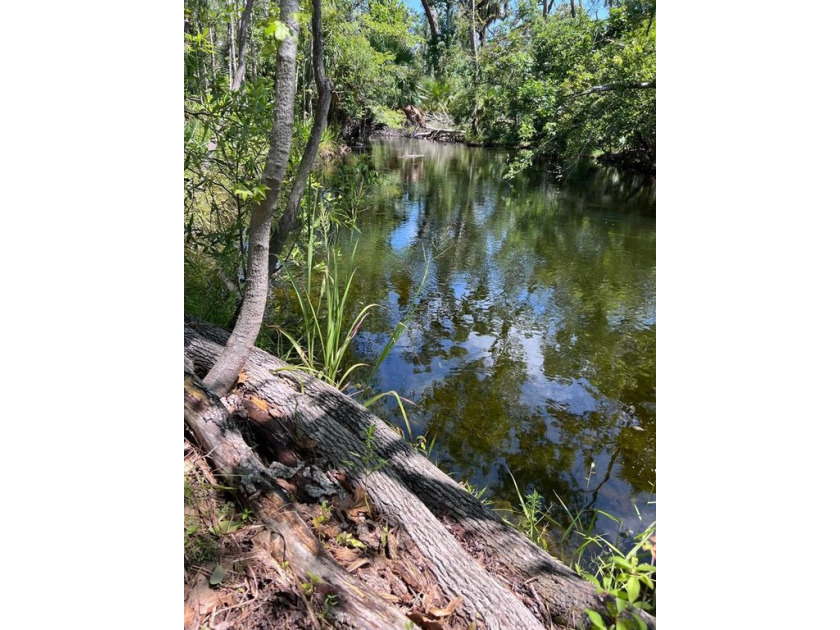 If you've ever dreamed of owning a piece of land where you can - Beach Acreage for sale in Steinhatchee, Florida on Beachhouse.com