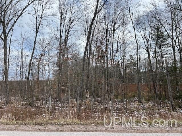 Triangle-shaped wooded parcel with 600' +/- of paved - Beach Lot for sale in Au Train, Michigan on Beachhouse.com