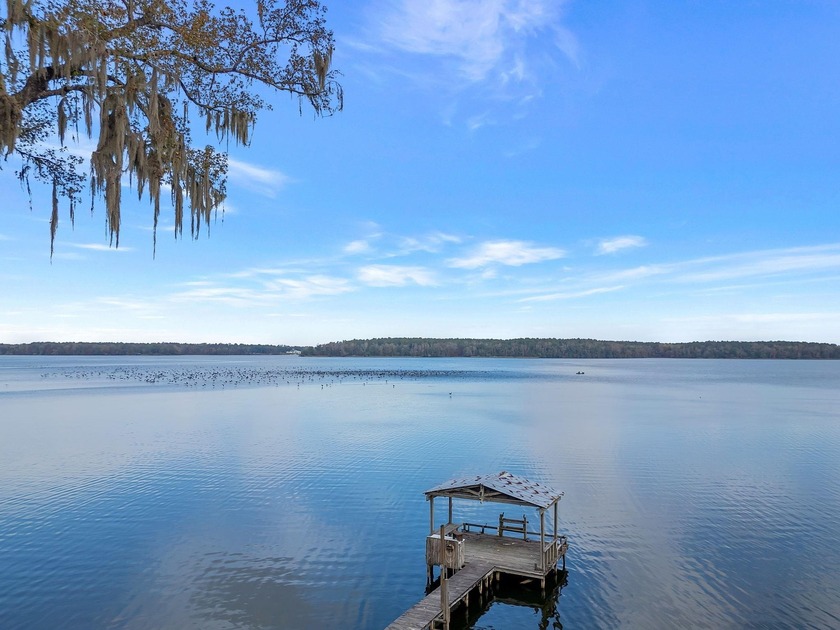 UNDENIABLY THE BEST VIEW ON LAKE TALQUIN! This one-of-a-kind - Beach Home for sale in Tallahassee, Florida on Beachhouse.com