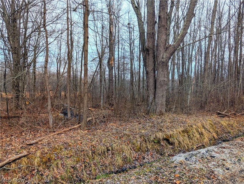 Great opportunity for a residential build! Three wooded lots ( - Beach Lot for sale in Madison, Ohio on Beachhouse.com