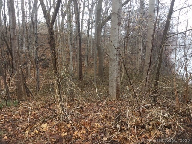 Beautiful treed lot in a sought-after neighborhood of newer - Beach Lot for sale in East Haven, Connecticut on Beachhouse.com