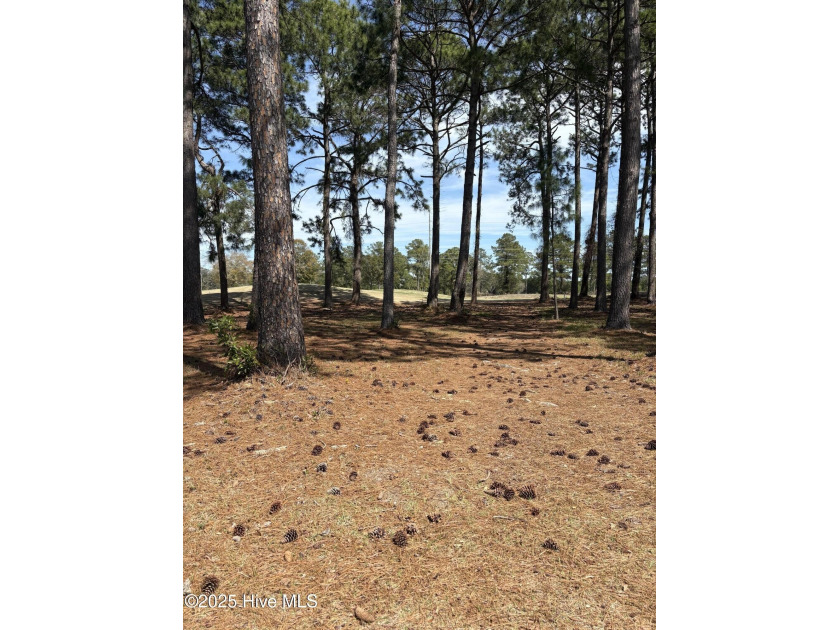 Prime Lot for Sale on Byrd Golf Course, located in the Eastwood - Beach Lot for sale in Sunset Beach, North Carolina on Beachhouse.com