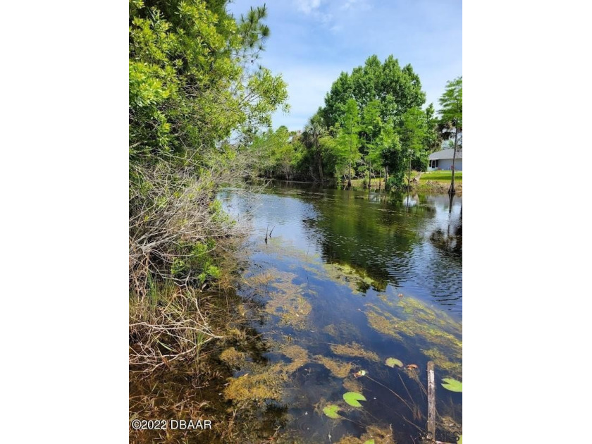 **Motivated Seller** Gorgeous wooded lot on a fresh water canal - Beach Lot for sale in Palm Coast, Florida on Beachhouse.com