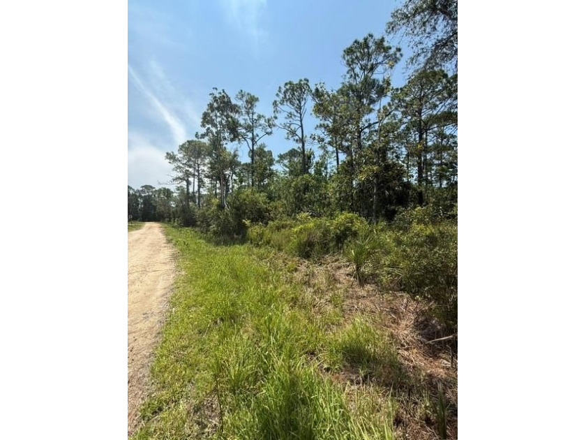 Escape to the laid-back charm of Steinhatchee with this 3/4 acre - Beach Lot for sale in Steinhatchee, Florida on Beachhouse.com