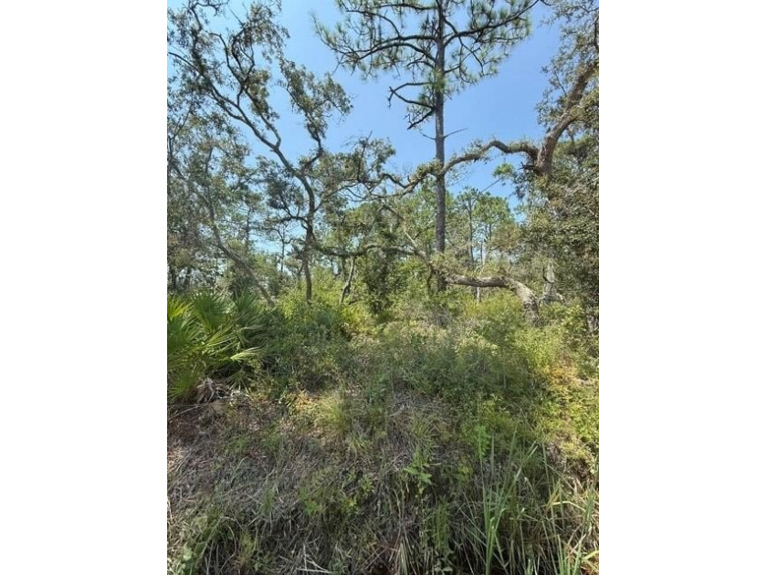 Escape to the laid-back charm of Steinhatchee with this 3/4 acre - Beach Lot for sale in Steinhatchee, Florida on Beachhouse.com