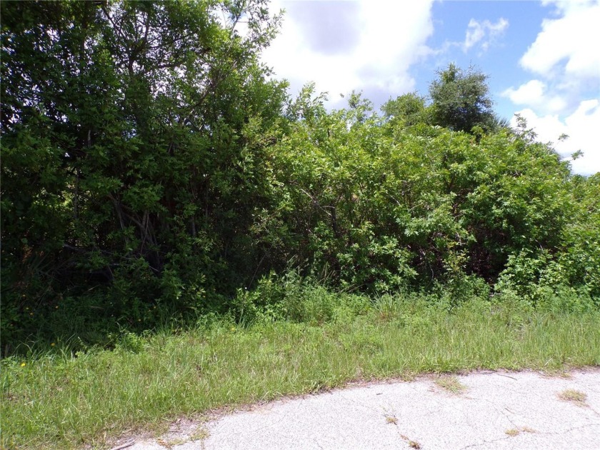 This lot is on a quiet street that would be a great place to - Beach Lot for sale in Port Charlotte, Florida on Beachhouse.com