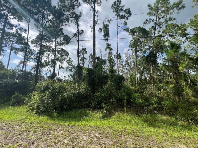 GREAT LOCATION!!!Discover the perfect opportunity to own a piece - Beach Lot for sale in North Port, Florida on Beachhouse.com