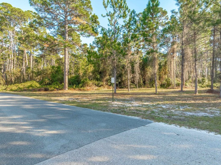 2 mostly cleared City of Carrabelle residential lots offered - Beach Lot for sale in Carabelle, Florida on Beachhouse.com