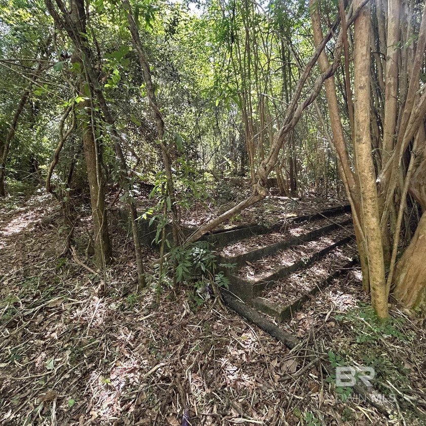 Old Homestead for sale! Ten acres with tranquil Davis Creek - Beach Acreage for sale in Robertsdale, Alabama on Beachhouse.com