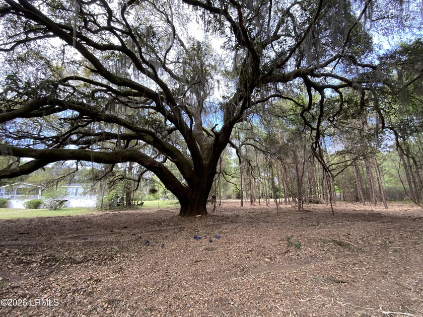Rare opportunity on St. Helena Island! Beautiful 1-acre wooded - Beach Lot for sale in Saint Helena Island, South Carolina on Beachhouse.com