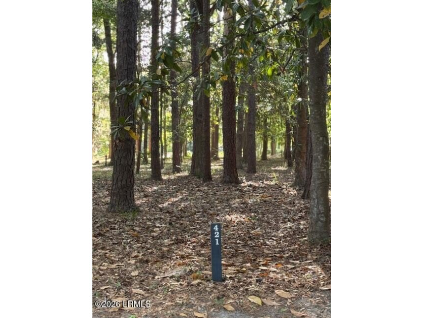 Located right across from the Islands of Beaufort Playground in - Beach Lot for sale in Beaufort, South Carolina on Beachhouse.com