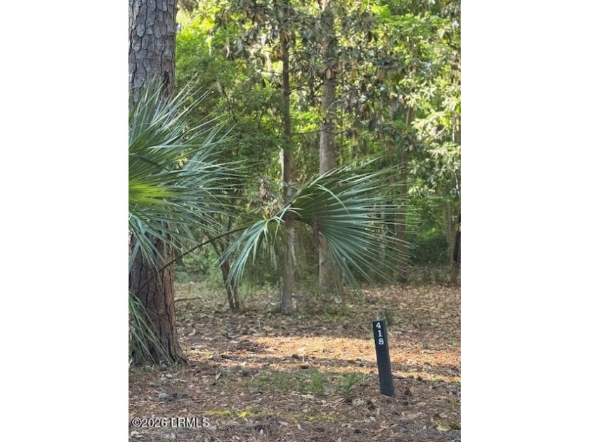 Perfectly positioned at the end of a quiet cul-de-sac, 418 - Beach Lot for sale in Beaufort, South Carolina on Beachhouse.com