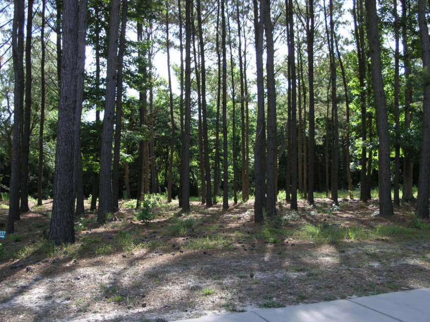 If you are considering a move to a community that is a step - Beach Lot for sale in Calabash, North Carolina on Beachhouse.com
