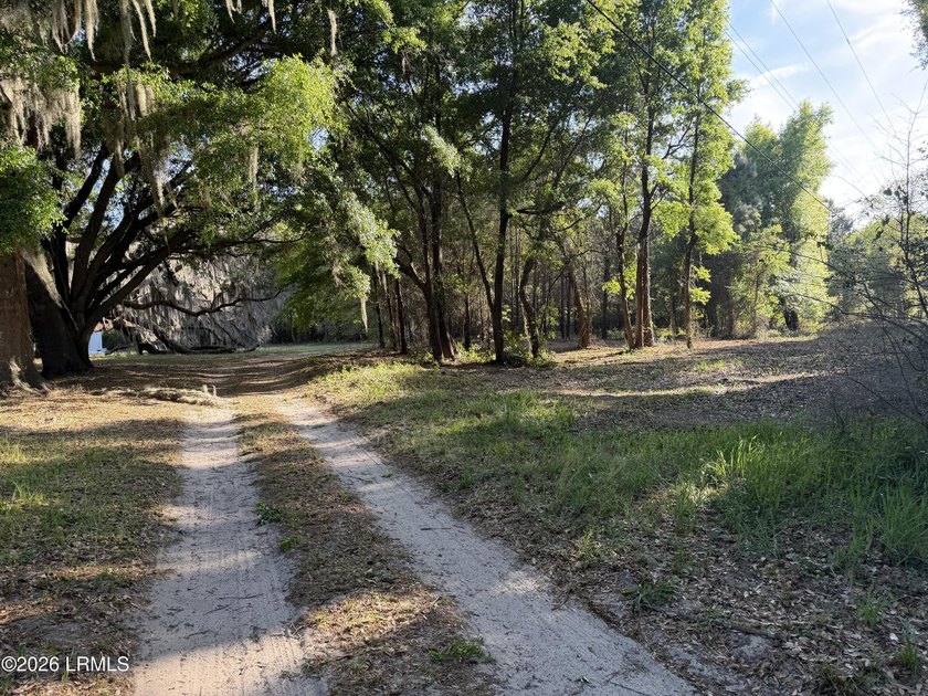 Rare opportunity on St. Helena Island! Beautiful 1-acre wooded - Beach Lot for sale in Saint Helena Island, South Carolina on Beachhouse.com