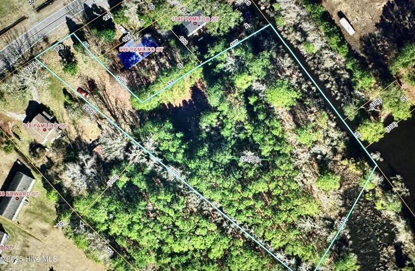 Here's your chance to own your very own water front property - Beach Acreage for sale in Belhaven, North Carolina on Beachhouse.com