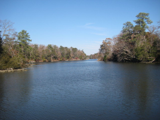 Great views down Cubbitt Creek. Great nature area. Excellent - Beach Lot for sale in Heathsville, Virginia on Beachhouse.com