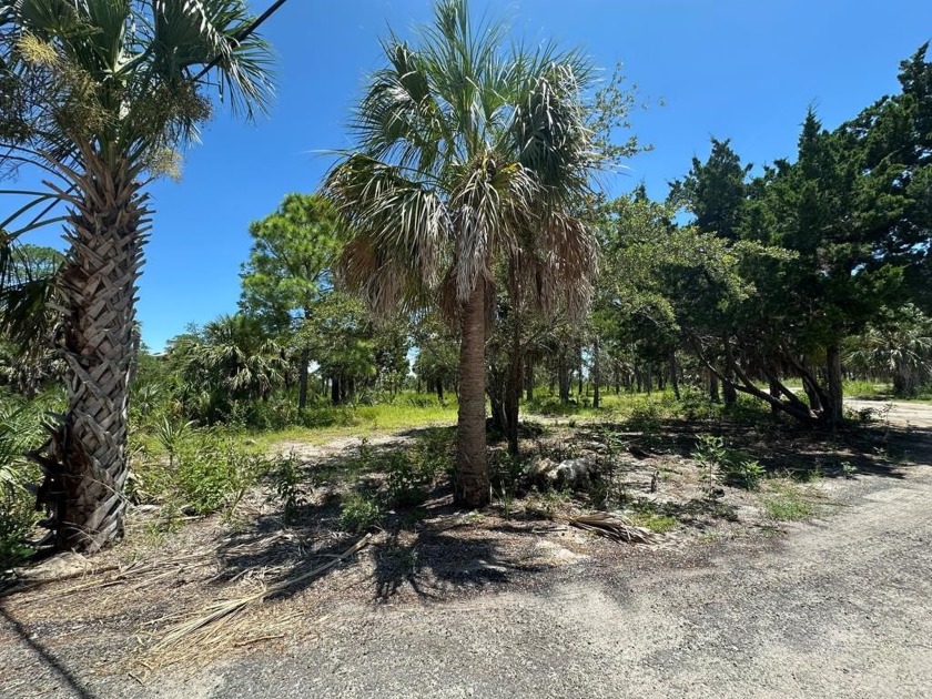 This sprawling water front lot, in private Piney Point, is ready - Beach Lot for sale in Cedar Key, Florida on Beachhouse.com