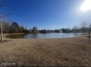 Discover Your Dream Homesite! This stunning, cleared, and level - Beach Lot for sale in Hertford, North Carolina on Beachhouse.com