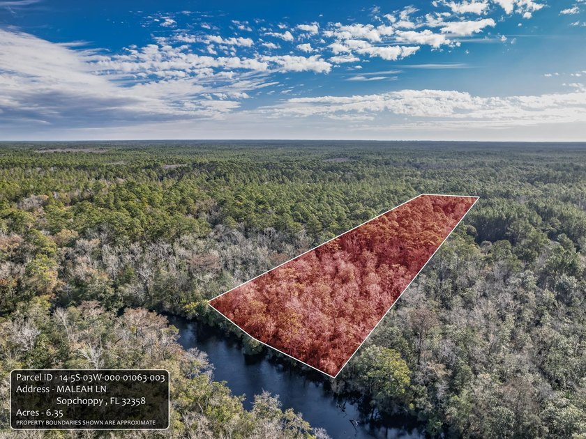 Wake up to river views, quiet mornings, and the kind of peace - Beach Acreage for sale in Sopchoppy, Florida on Beachhouse.com