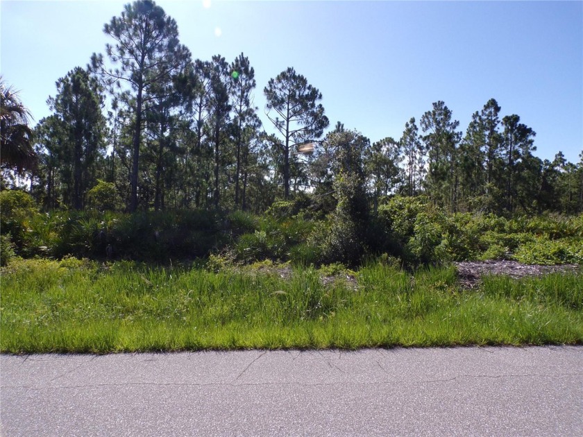 This lot is in the highly desirable flood zone X, saving - Beach Lot for sale in Port Charlotte, Florida on Beachhouse.com