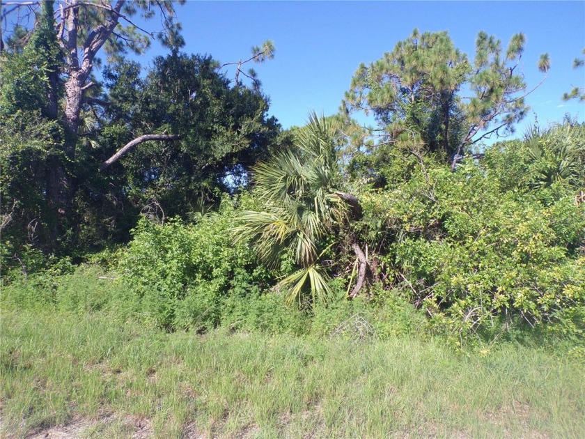 This lot is on a quiet street that would be a great place to - Beach Lot for sale in North Port, Florida on Beachhouse.com