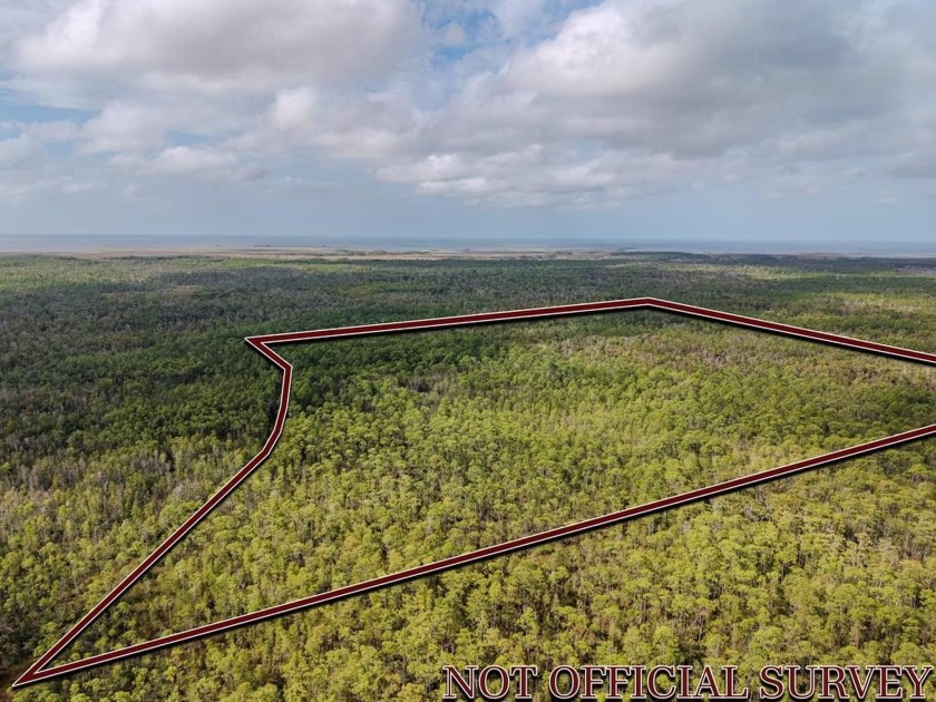 Discover 28 acres of prime hunting land tucked away on Bowlegs - Beach Acreage for sale in Horseshoe Beach, Florida on Beachhouse.com