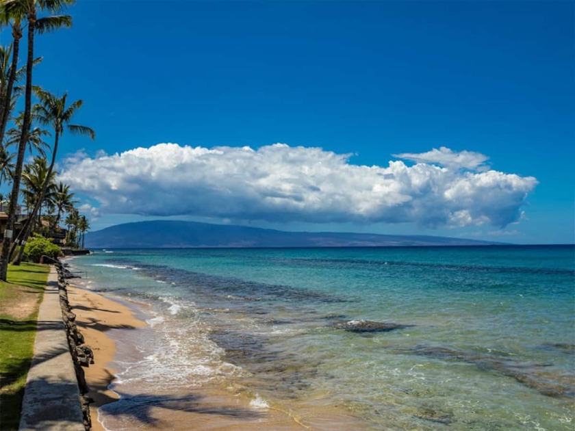 Lahaina Vacation Rental Beach Condo in HI 3753958