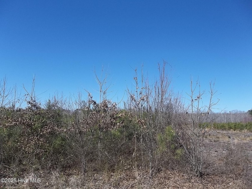 Come build your home in the country on this one-acre lot. NC - Beach Lot for sale in New Hope, North Carolina on Beachhouse.com