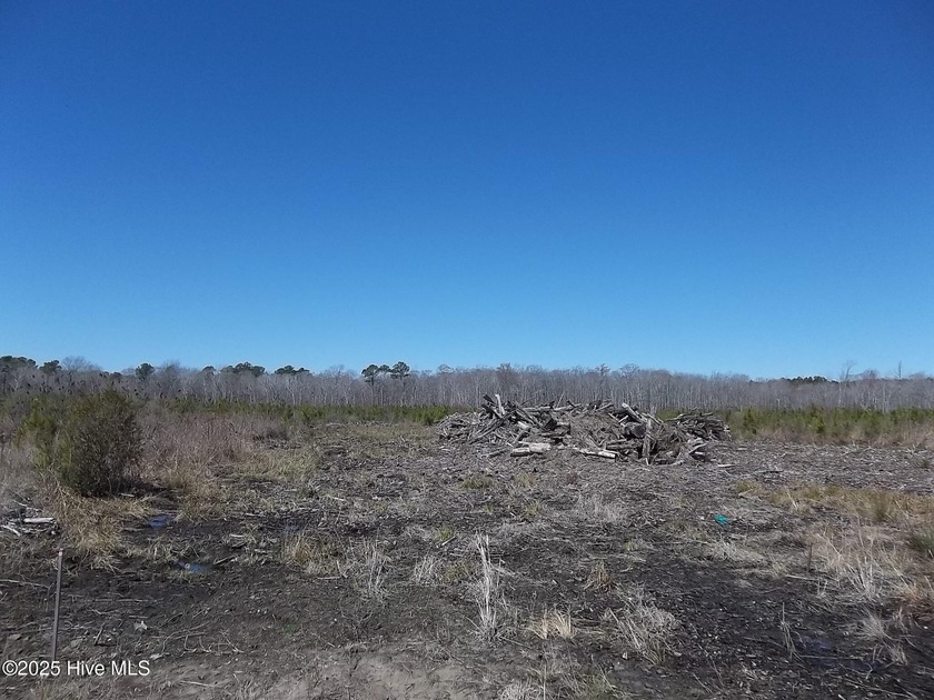 Build you home in the country within 1/2 mile to a NC Wildlife - Beach Lot for sale in New Hope, North Carolina on Beachhouse.com