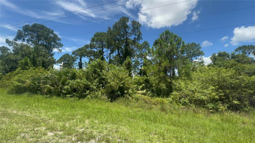 Ready to build a corner big lot in an up and coming area that - Beach Lot for sale in Lehigh Acres, Florida on Beachhouse.com