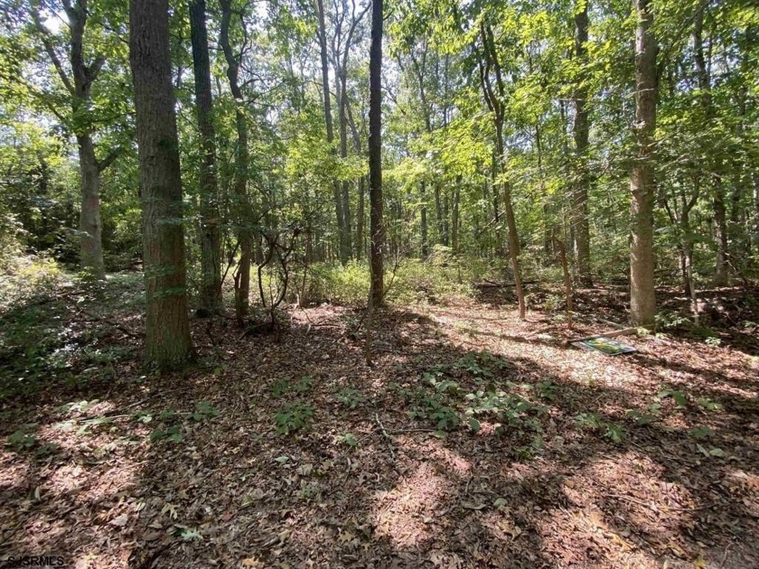 Build your dream home on this 1.8-acre lot nestled between the - Beach Lot for sale in Galloway, New Jersey on Beachhouse.com
