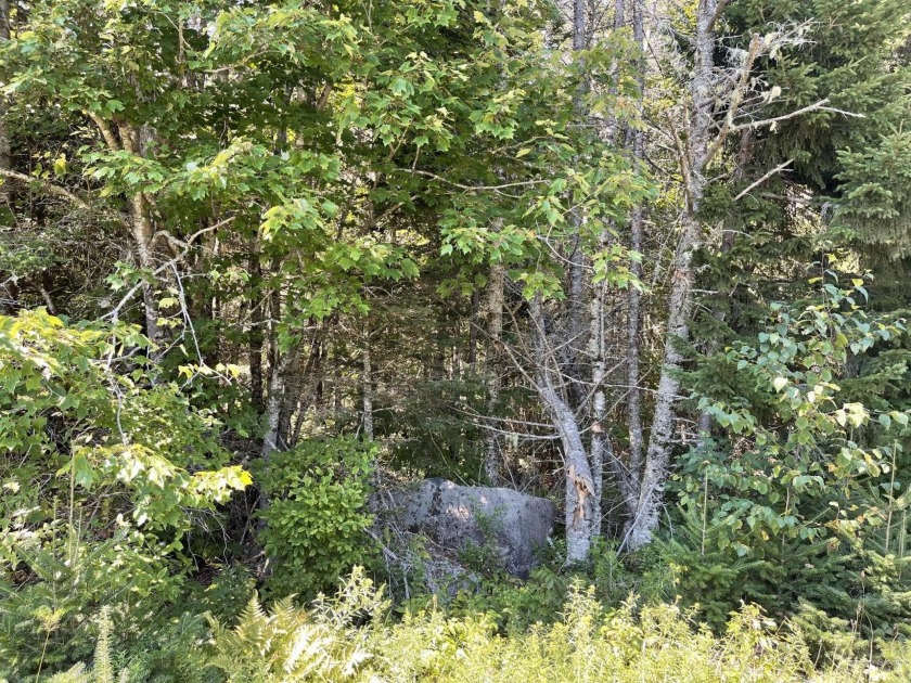 This large (7 acre) wooded building lot in the Pidgeon Point - Beach Lot for sale in Whiting, Maine on Beachhouse.com