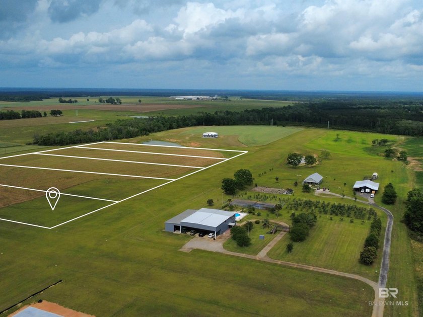 Pilots, this is your clearance for takeoff, Elsanor Airport 1AL4 - Beach Acreage for sale in Robertsdale, Alabama on Beachhouse.com