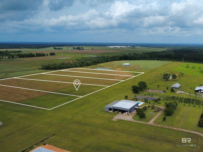 Pilots, this is your clearance for takeoff, Elsanor Airport 1AL4 - Beach Acreage for sale in Robertsdale, Alabama on Beachhouse.com