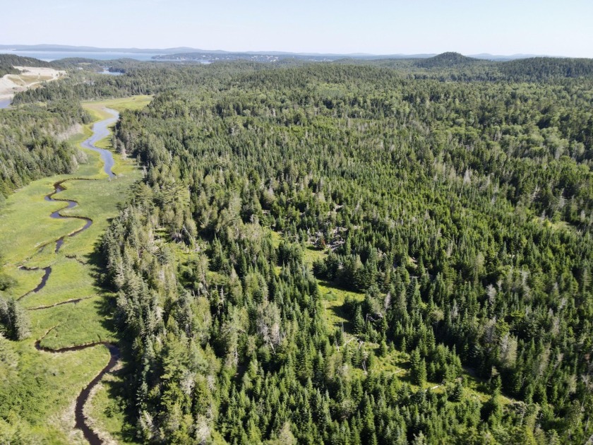 Discover the charm of coastal Maine living at 949 Cape Rosier - Beach Acreage for sale in Brooksville, Maine on Beachhouse.com