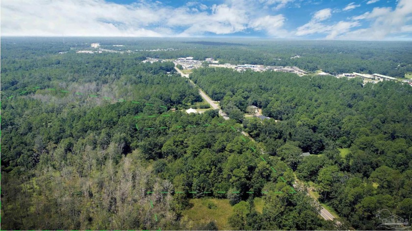 Wooded, Seller says there is a pole barn and a 10x30 Lien-to - Beach Acreage for sale in Milton, Florida on Beachhouse.com