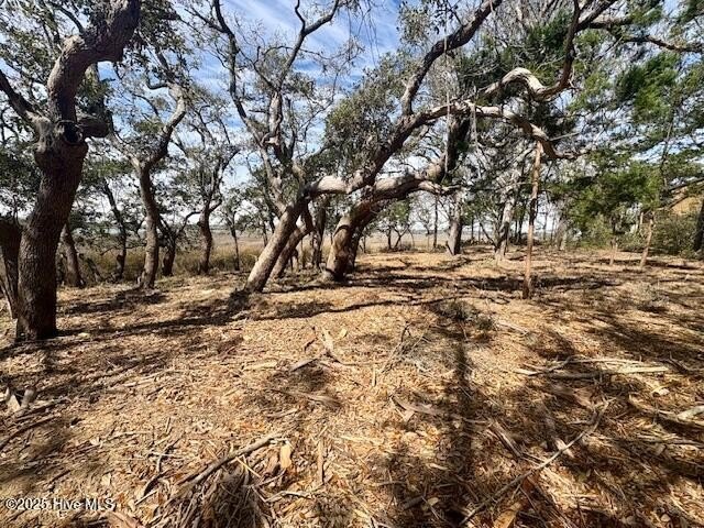 It's all about the VIEW! This beautiful land is located at the - Beach Lot for sale in Supply, North Carolina on Beachhouse.com