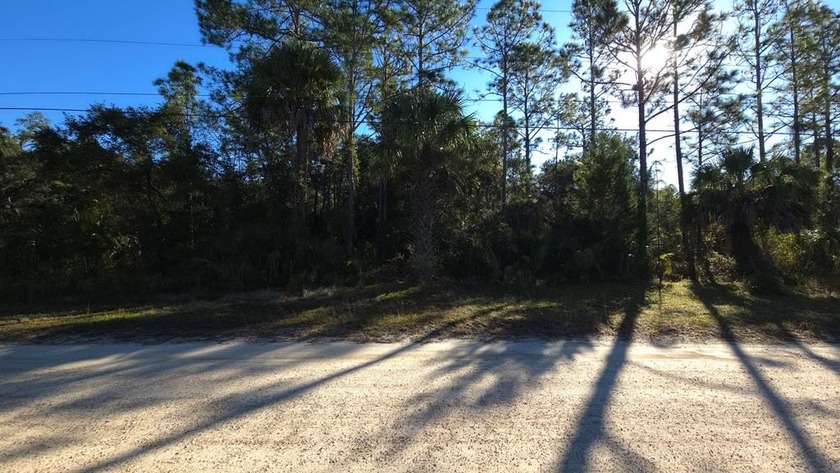 Build your home or hunting camp on this 1.03-acre lot in Inglis - Beach Lot for sale in Inglis, Florida on Beachhouse.com