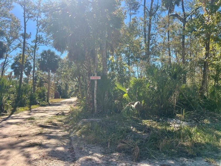 Escape to the quiet woods of Mingo Acres! This .30-acre lot - Beach Lot for sale in Steinhatchee, Florida on Beachhouse.com