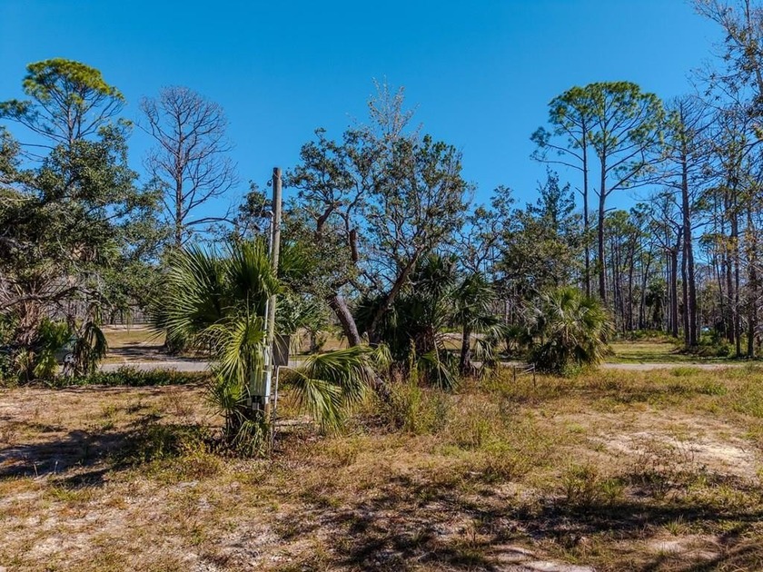 Prime location in the heart of Steinhatchee! This beautiful lot - Beach Lot for sale in Steinhatchee, Florida on Beachhouse.com
