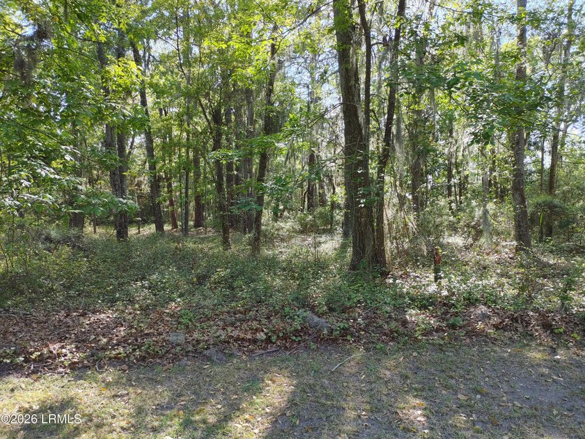 PRIME Commercial MARSHFRONT lot on the busy U. S. Hwy 21 entry - Beach Lot for sale in Beaufort, South Carolina on Beachhouse.com