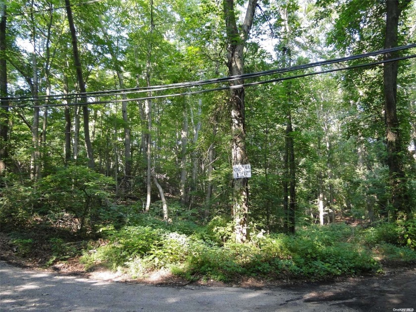 One of last oversized 1/2 acres; Planning and Board of Health - Beach Lot for sale in Miller Place, New York on Beachhouse.com
