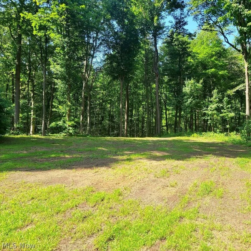 An absolutely beautiful lot surrounded by nature under the - Beach Lot for sale in Madison, Ohio on Beachhouse.com