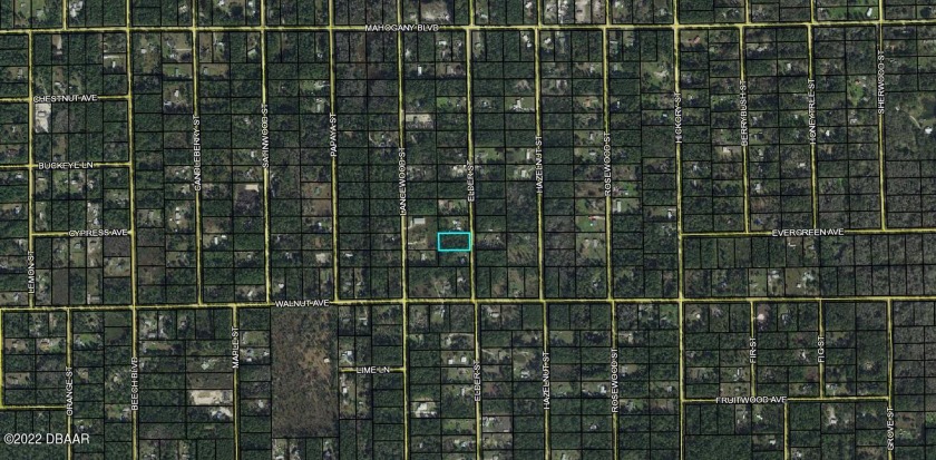 Are you looking to enjoy country lifestyle then look no further? - Beach Lot for sale in Bunnell, Florida on Beachhouse.com