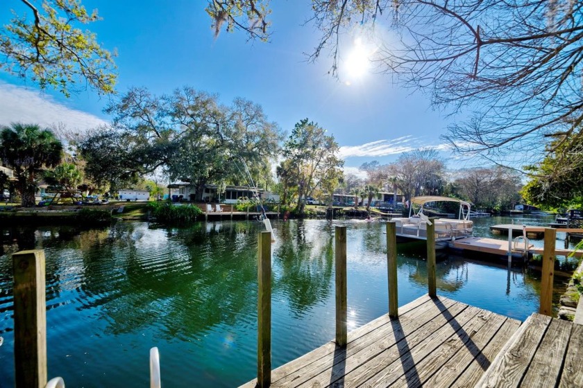 Immerse yourself in nature and enjoy a slower pace while being - Beach Home for sale in Weeki Wachee, Florida on Beachhouse.com