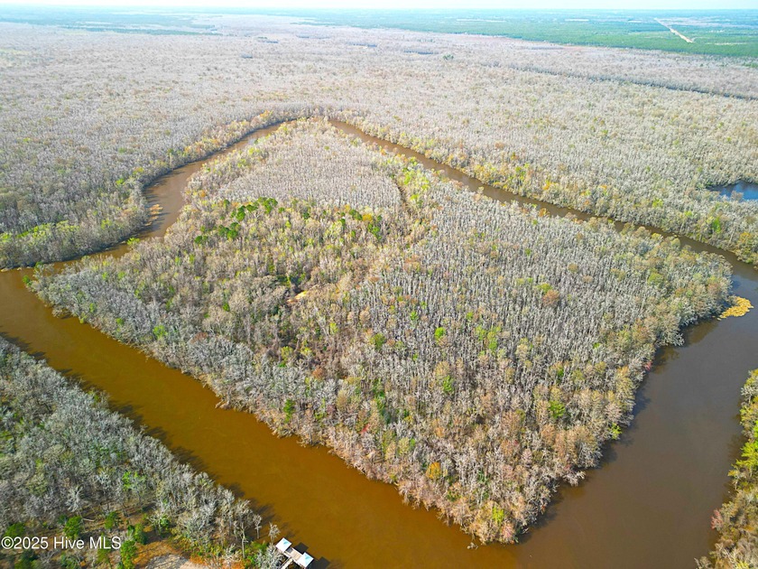 Private Island for Sale: +/-84 Acres on Cape Fear River - Beach Acreage for sale in Leland, North Carolina on Beachhouse.com