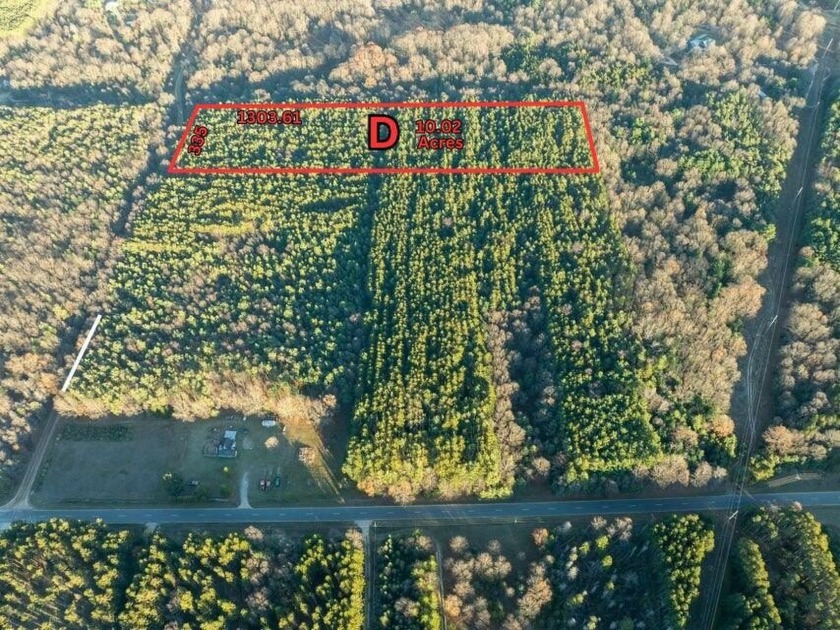 This 10.02 Acres in Golden Township is a hidden gem! This - Beach Acreage for sale in Mears, Michigan on Beachhouse.com