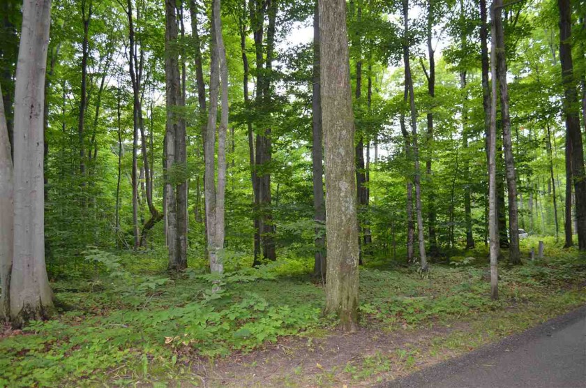 Join Birchwood Country Club with this wooded lot at the north - Beach Lot for sale in Harbor Springs, Michigan on Beachhouse.com