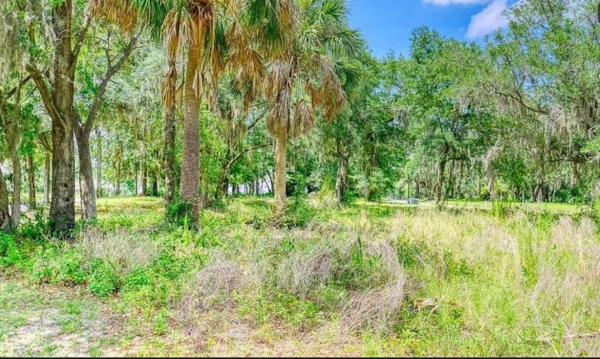 Coastal Living Awaits! 0.31-Acre Lot in Yulee, FL. 
Priced below - Beach Lot for sale in Yulee, Florida on Beachhouse.com