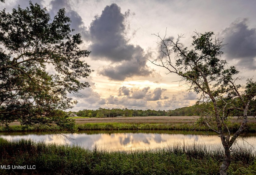 Build your dream home on this absolutely stunning, unique piece - Beach Acreage for sale in Ocean Springs, Mississippi on Beachhouse.com